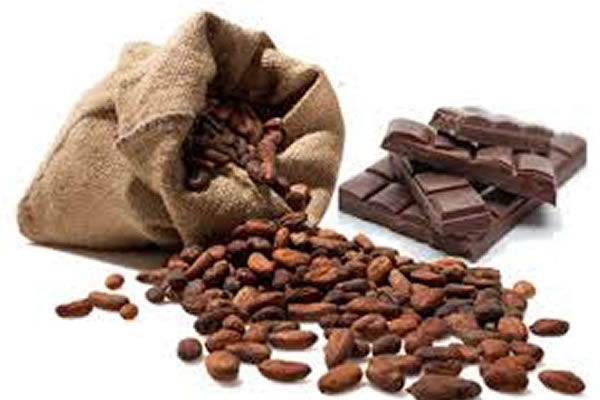 El chocolate