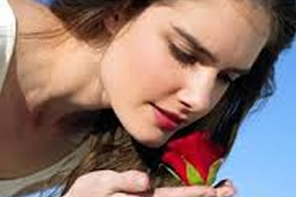 El Perfume