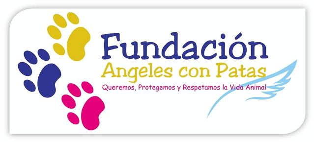 Las Fundaciones