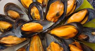 Los Mejillones