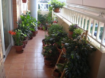 Medicinas en mi balcón