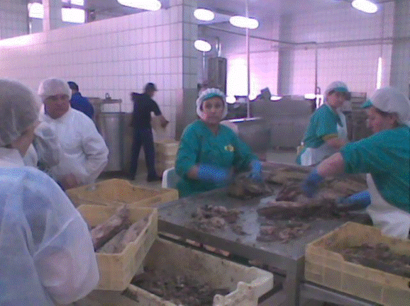 Visita a la fábrica de conservas Albo