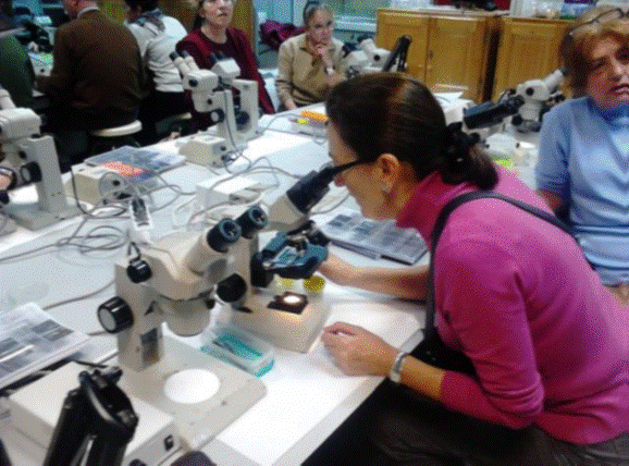 Visita al laboratorio