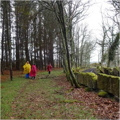 Camino de Santiago 5º Etapa