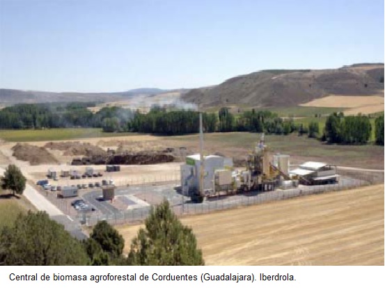 BIOCOMBUSTIBLES: ¿Solución energética o caos biológico?