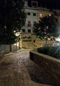 carrera-del-darro-209x300