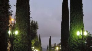 reflejos-de-la-noche-800x445