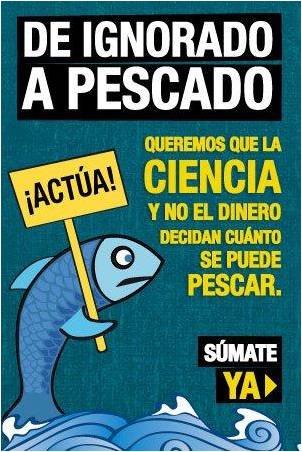 La Responsabilidad Social y la Pesca Sostenible.