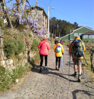 CAMINO PORTUGUES -Etapa 8: Anteportas - O Milladoiro 16,00 Km