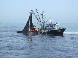 Responsabilidad social y pesca sostenible