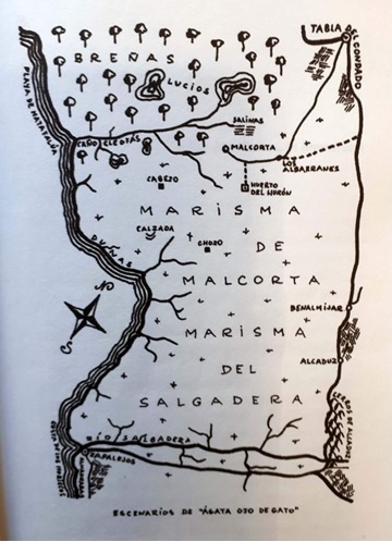 Léxico Caballero Bonald - Ágata, ojo de gato