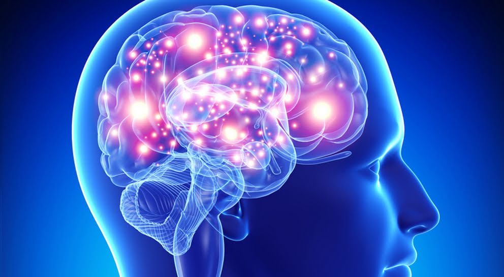 RESERVA CEREBRAL Y COGNITIVA